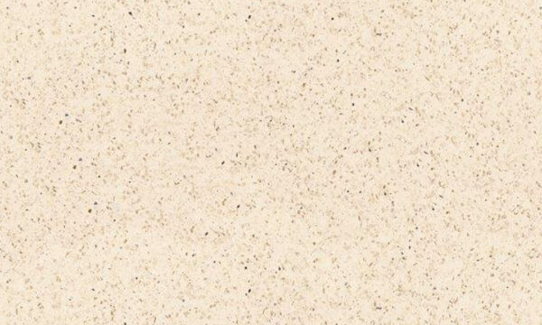 Coasta Maple