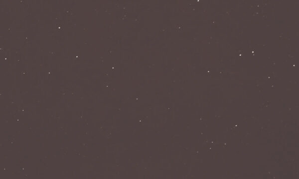 Brown Antracita