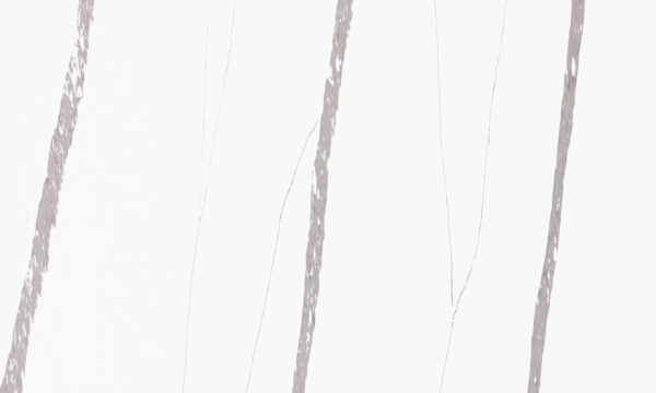 Calacatta Spectra