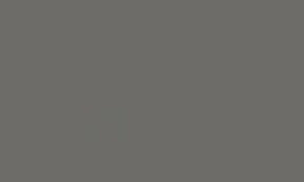 Classic Gray - P