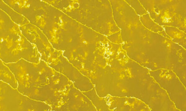 Onyx Gold